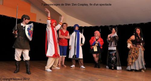 Shin'Zen12